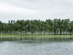 -塞罕坝国家级自然保护区