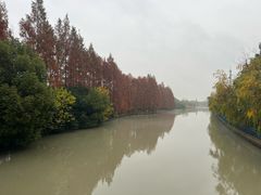 -潮府馆·非遗潮州菜·世纪公园(新国际博览中心店)