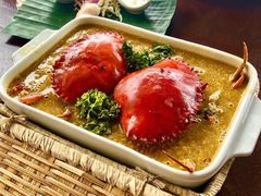 -茉莉.Red Crab