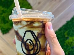 -油梨树AVOCADO TREE(嘉里中心店)
