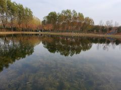 -东郊湿地公园