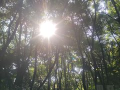 -杭州半山国家森林公园