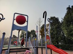 -枫香湖儿童公园