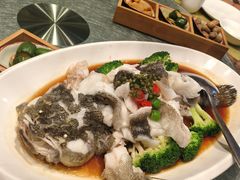 -顺意·顺德家乡菜(国际人才大厦店)