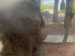 -宠颐生斯嘉宠物医院·急重症·心内科(谷阳北路分院)