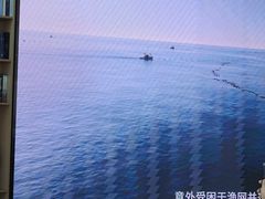 -抱抱地球咖啡馆(国家海洋博物馆店)