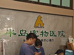 -半岛宠物医院24小时(科华中路店)