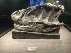 -自贡恐龙博物馆