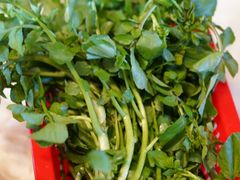 -老东风菜馆·羊肉火锅·海鲜·砂锅粥