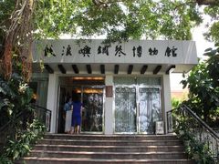 -鼓浪屿钢琴博物馆