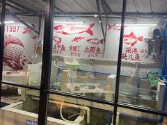 -费明中罗非鱼(大石坝店)