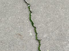 -上海交通大学(闵行校区)