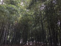 -乌镇东栅景区