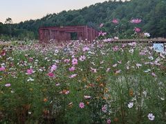 -神光山国家森林公园