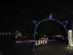 -枫花园汽车电影院(朝阳公园店)