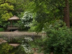 -上海共青森林公园