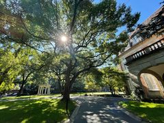 -叶叶菩提·晋福宫