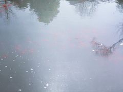 -深业半汤御泉庄温泉