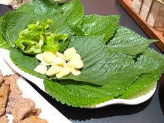 -松涛园朝鲜·海鲜·料理店(鸭绿江断桥店)