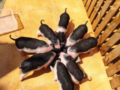 -HERRE·FARM 赫尔露营农场·团建聚会包场