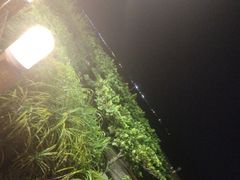 -渔家火锅·海鲜自助餐·演艺(亚龙湾天域酒店)