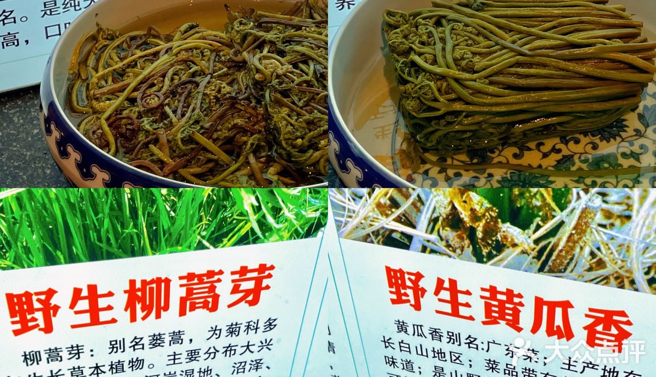又发现一家好吃的东北铁锅炖‼️香起飞了