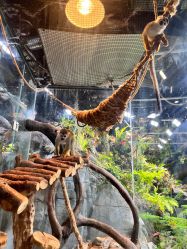 -Zoolung Zoolung动物主题公园(海信广场店)