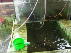 -荣德灶台鱼(圣泉寺店)