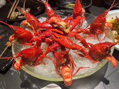 -红盔甲·小龙虾(长寿路店)