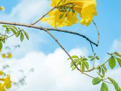 -古宇湖风景名胜区