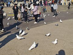 -朝阳公园游乐园