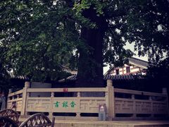 -得意楼蒸菜馆