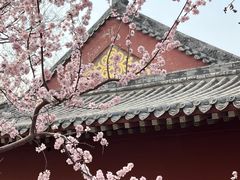 -桃花堤公园