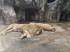 -南昌动物园