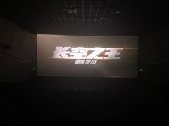-耀莱成龙影城(领秀城店)