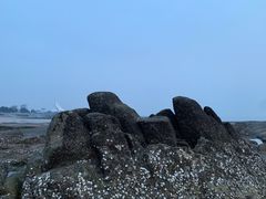 -日照灯塔风景区