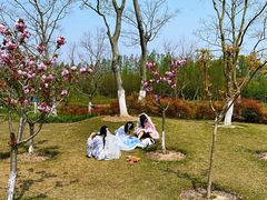 -上海长兴岛郊野公园