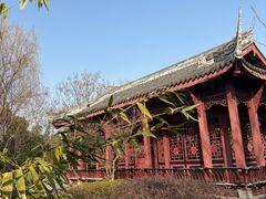 -武汉园博园(武汉自然博物馆)