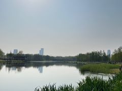 -滨湖塘西河公园
