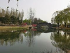 -大兴滨河森林公园