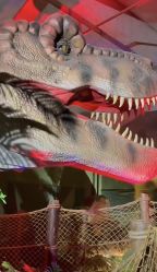-恐龙探索乐园(磁器口店)