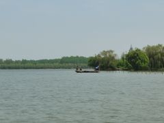 -溱湖国家湿地公园