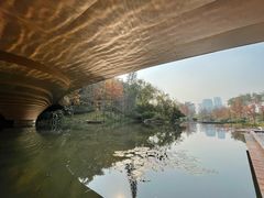 -云溪植物园