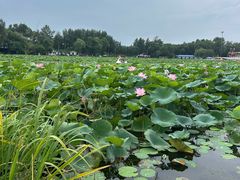 -沈阳市东陵公园