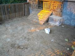 -宁波九龙湖开元度假村