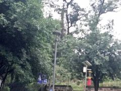 -重庆平顶山公园