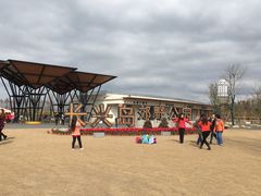 -上海长兴岛郊野公园