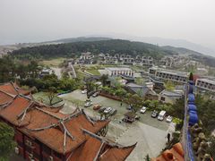 -铁山坪森林公园