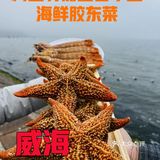 威海的！威海的！好吃到不想说话...