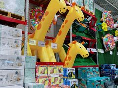 -山姆会员商店(杨桥西路店)